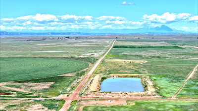 Oasis Farms photo 66