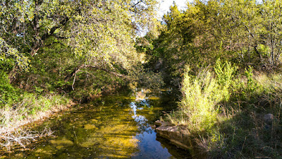 Settlement Branch Ranch photo 58