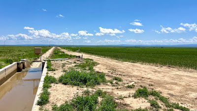 Oasis Farms photo 46