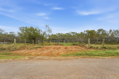 812 County Road 415 photo 4