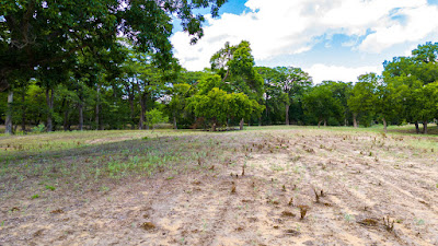 River Bend Ranch photo 19