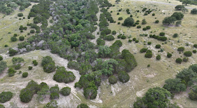 Loma Vista Ranchette photo 6
