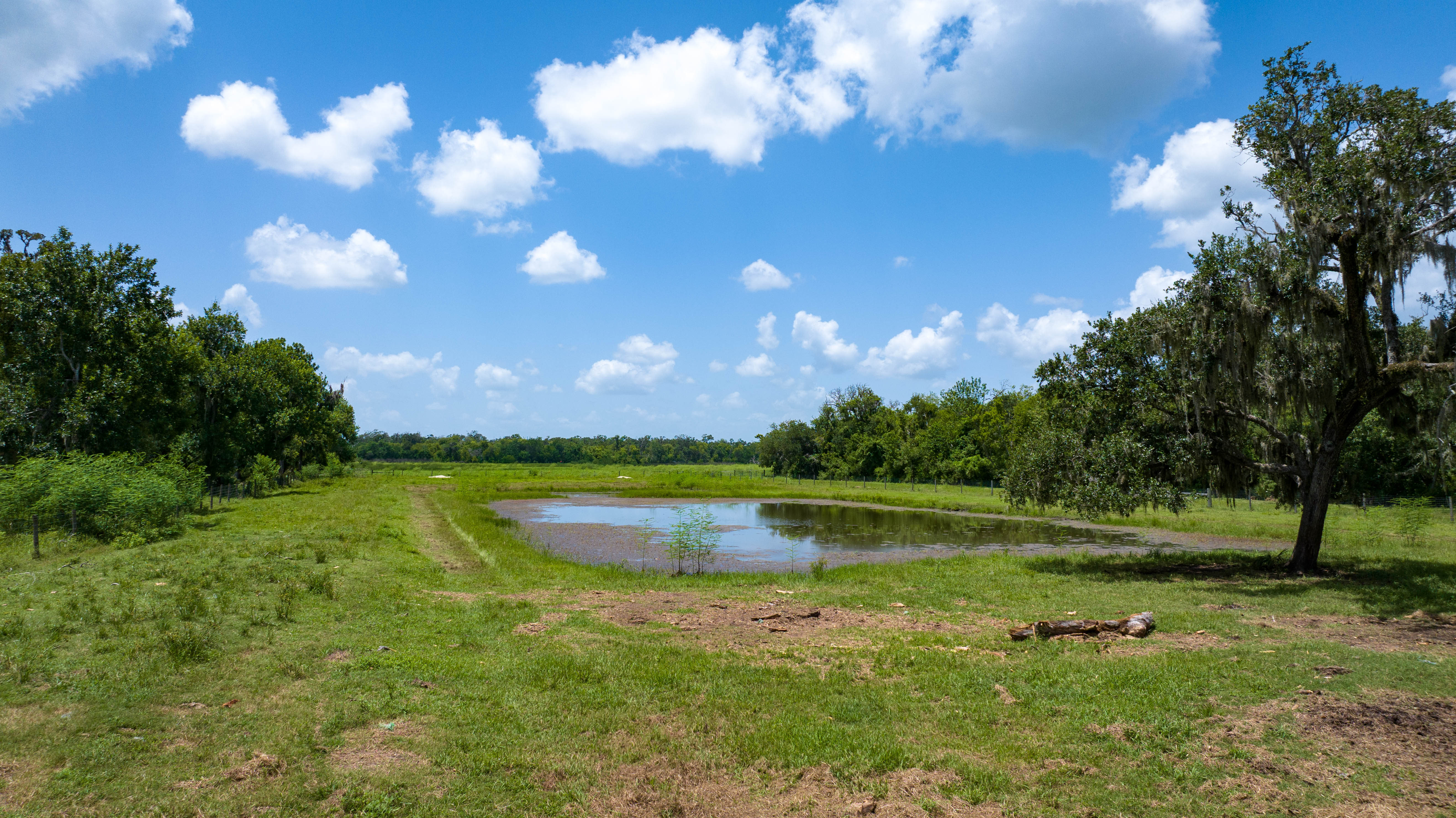 Texas ranch stock tank and pond surrounded by pasture grassland and oak trees showing water resources on ranch land