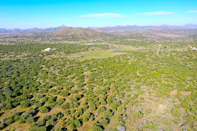Greenbriar Ranch photo 1