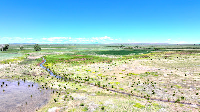 Oasis Farms photo 57