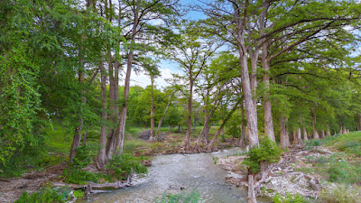 River Bend Ranch photo 4