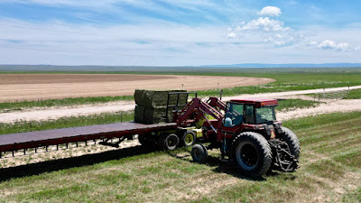 Oasis Farms photo 37