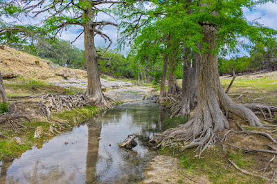Heritage Springs Ranch photo 3