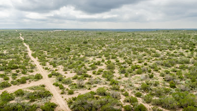 West Verde Ranch photo 10