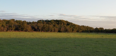 Indian Hill Lakes Ranch, McLennan County, Texas