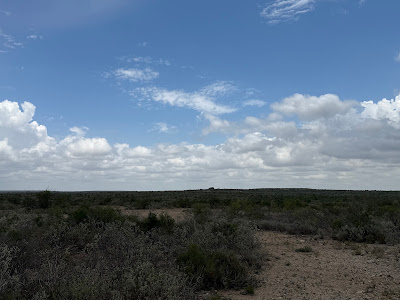 Lobo Trail Ranch photo 12