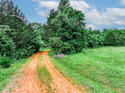 Whistle Stop Ranch photo 46
