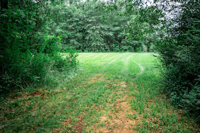 Whistle Stop Ranch photo 90