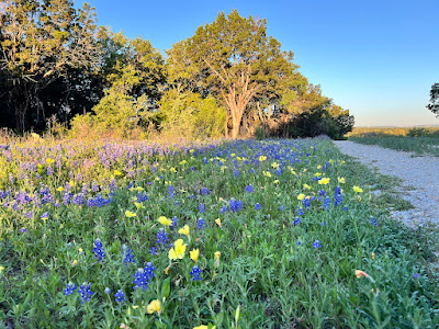 Settlement Branch Ranch photo 8