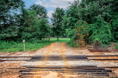 Whistle Stop Ranch photo 85