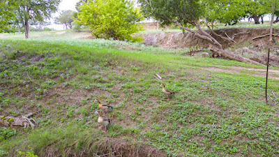 River Bend Ranch photo 15