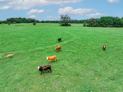 Whistle Stop Ranch photo 45
