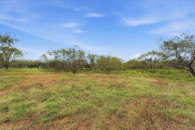 812 County Road 415 photo 8