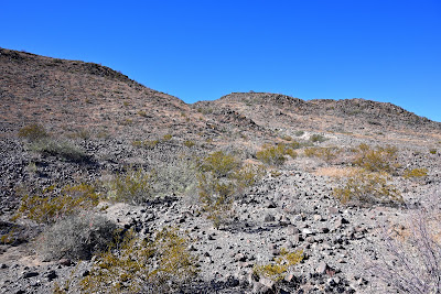 23031 FM 170 photo 40
