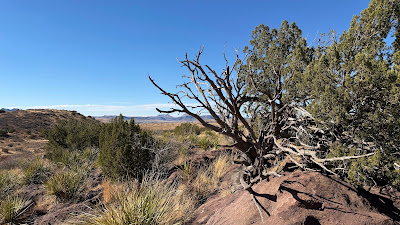 North Canyon Ranch photo 25