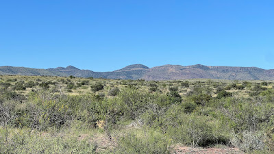 Tract 34, Sierra La Rana, Alpine, TX 79830 photo 10