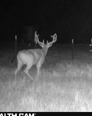 The Kennedy Ranch photo 10