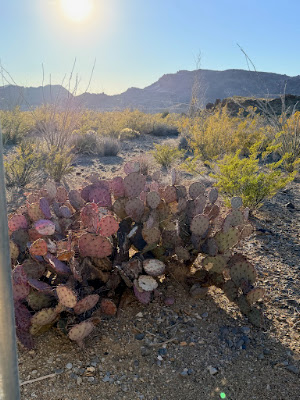 Terlingua Ranch track 38 gate 2 photo 20