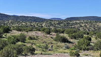 Tract 111, Sierra La Rana, Alpine, TX 79830 photo 6