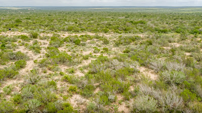 West Verde Ranch photo 17