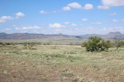 Tract 32, Sierra La Rana, Alpine, TX 79830 photo 3