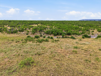 TBD State Hwy 16 Strawn, Texas photo 15
