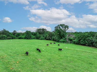 Whistle Stop Ranch photo 44