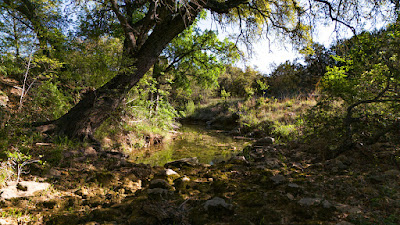 Settlement Branch Ranch photo 50