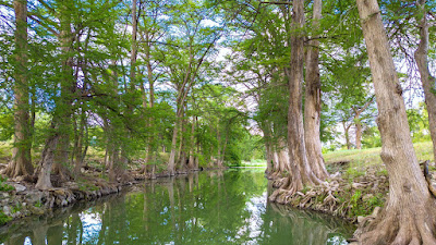 River Bend Ranch photo 1