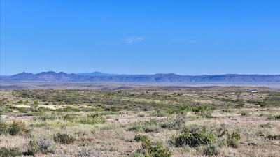 Tract 9, Sierra La Rana, Alpine, TX 79830 photo 12