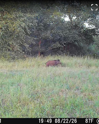 The Kennedy Ranch photo 2