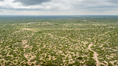 West Verde Ranch photo 13