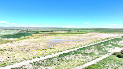 Oasis Farms photo 53