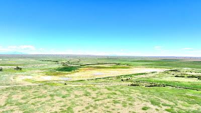 Oasis Farms photo 51