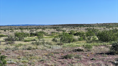 Tract 24R, Sierra La Rana, Alpine, TX 79830 photo 6