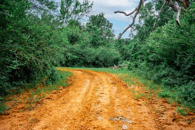 Whistle Stop Ranch photo 81