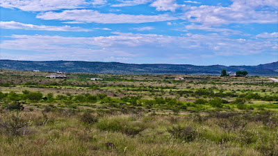 Tract 13, Sierra La Rana, Alpine, TX 79830 photo 7