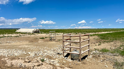 Oasis Farms photo 43