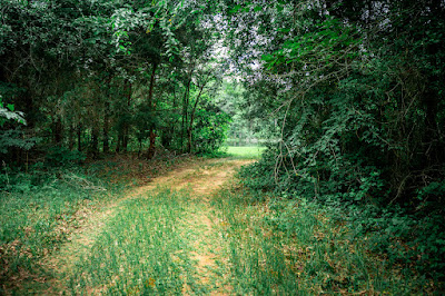 Whistle Stop Ranch photo 94