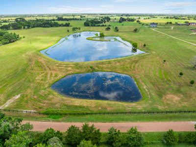 New Ulm Ranch photo 8