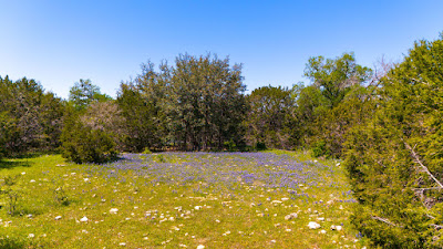 Oakalla Hills Ranch photo 2