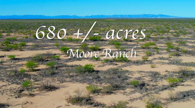 Moore Ranch photo 2