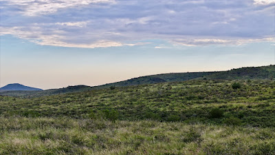 Tract 7, Sierra La Rana, Alpine, TX 79830 photo 12