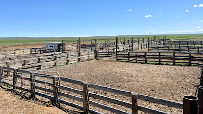 Oasis Farms photo 72