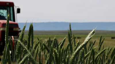 Oasis Farms photo 92